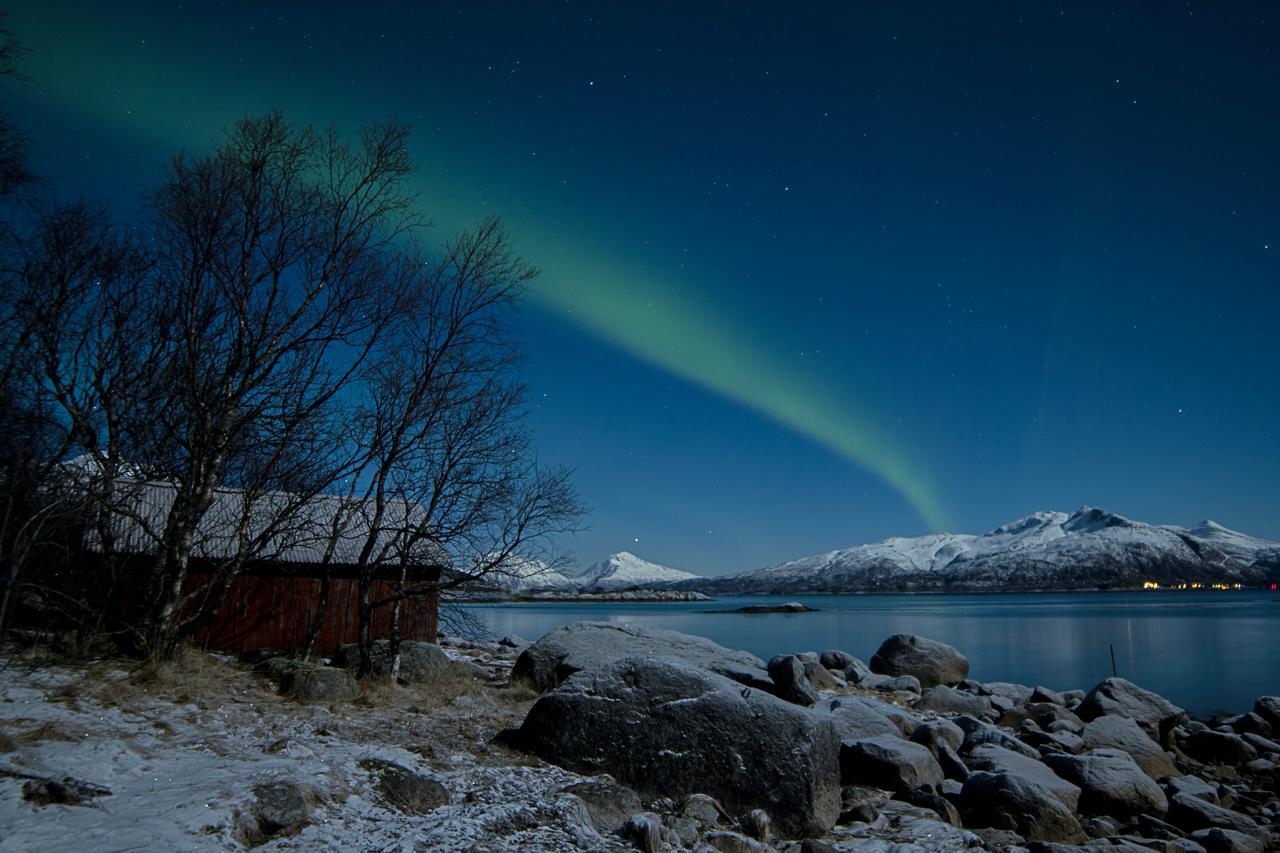 Aurora Harbour House Villa Льодинген Екстериор снимка